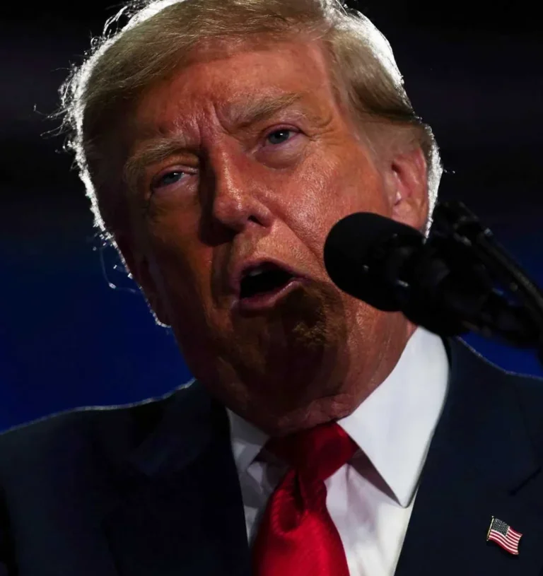 ‘Just run this as an ad’: Trump’s rally gas price admission seen as gift to Dems
