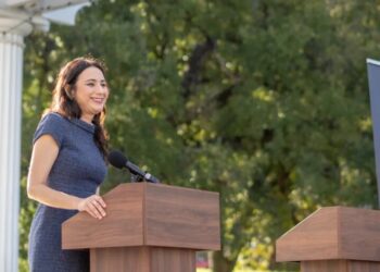 Forget the House and the Senate, the economy may hinge on state and local races in the midterm elections