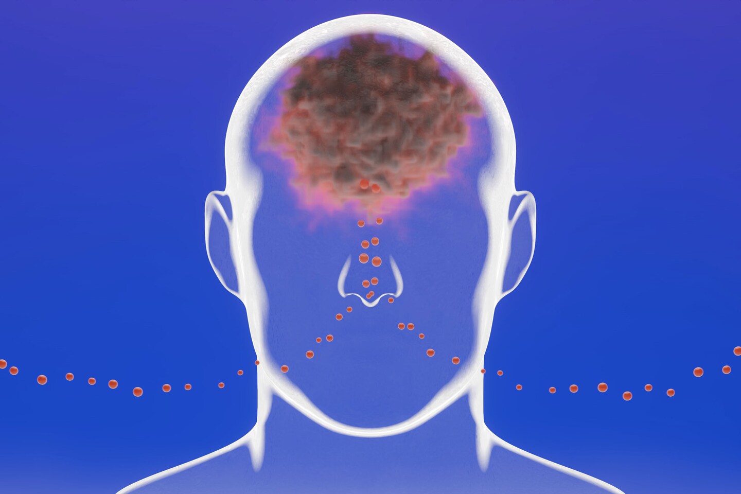 An illustration with an outline of a man's head. Small orange particles are going into the nose and join a big orange cloud in the spot where a brain normally is.
