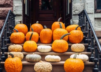 Americans are paying up to $2,000 to have pumpkins arranged on their porches—and one Texas side hustle turned it into a six-figure franchise