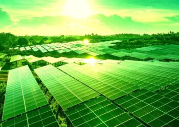 Solar Panels Are Now Producing So Much Power That They’re Leaving Nuclear Plants in the Dust