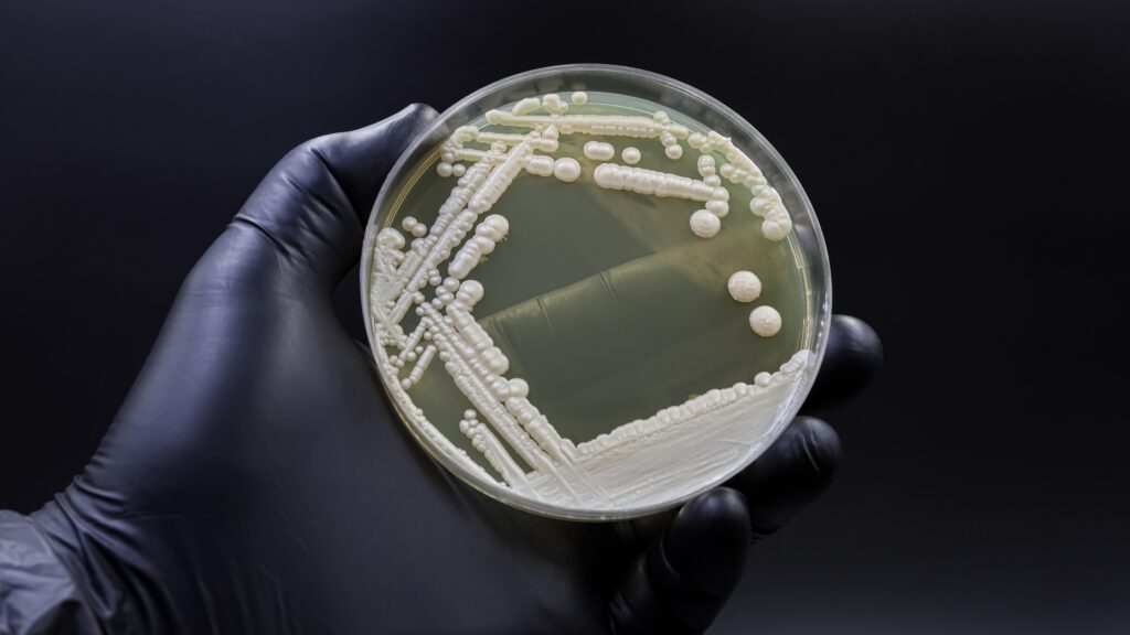 Why Dangerous Fungi Are on the Rise