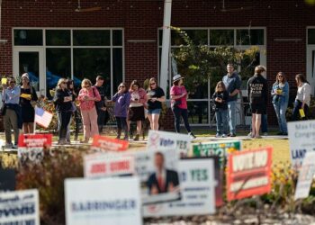 What Early Voting Data Is Showing About the Midterm Elections