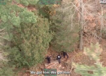 Drone footage captures wild moment escaped prison inmate is caught by police: ‘We got him’
