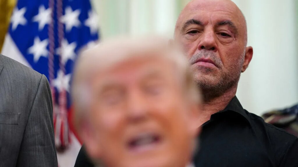 Joe Rogan sits out midterms as Trump rift grows: ‘Turned out to not be real’