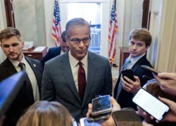GOP consultant warns of ‘red scream’ that’s threatening Senate majority: Axios