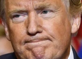 Ex-Trump official says ‘self-imploding’ president was just ‘baited’ into ‘worst’ move