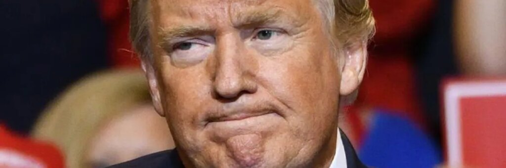 Ex-Trump official says ‘self-imploding’ president was just ‘baited’ into ‘worst’ move