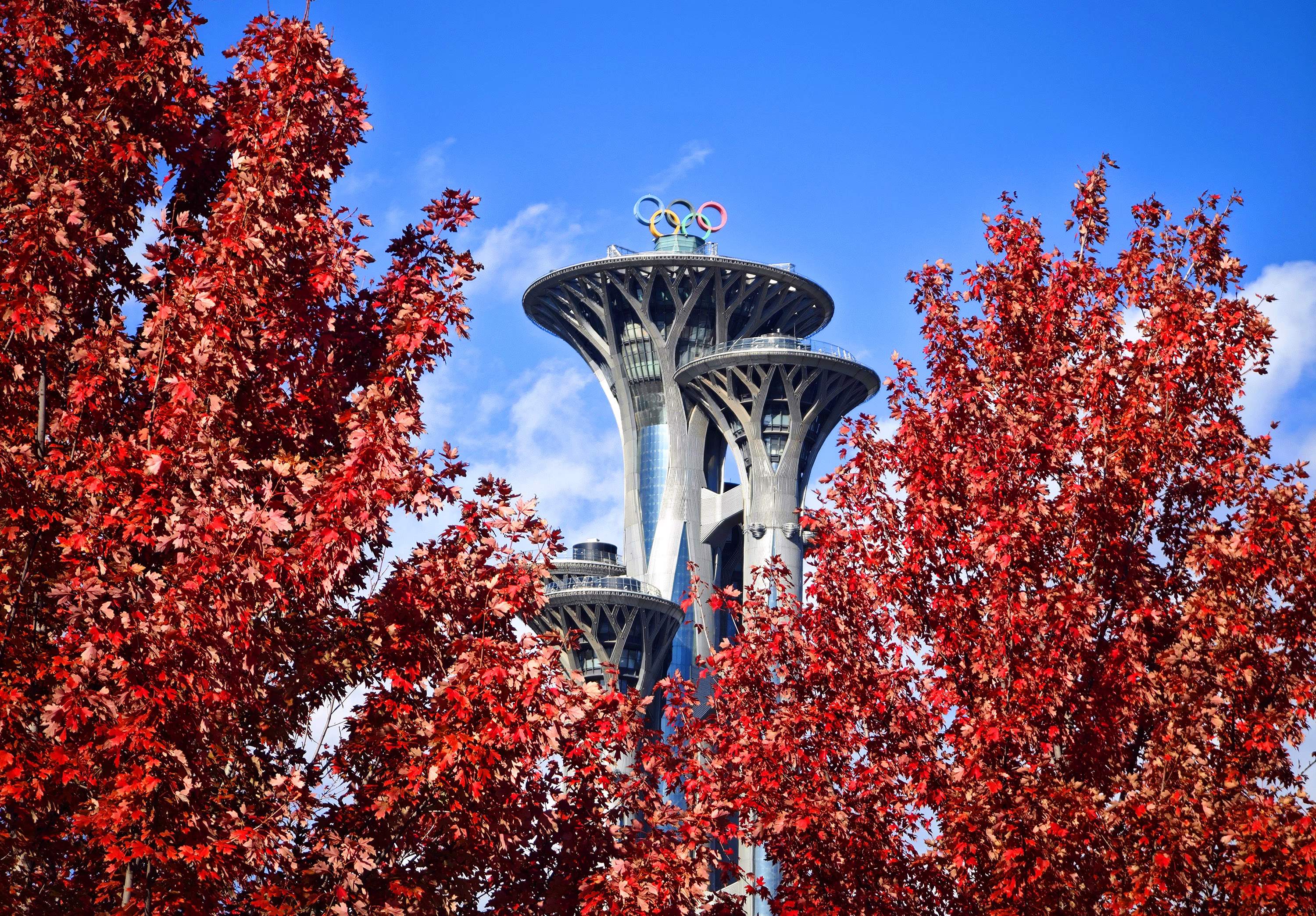 Trees display autumn colors with a former Olympic Games tower visible in the background.
