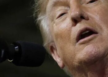 ‘He owns these people’: Columnist flags dark message behind Trump’s new male body fixation