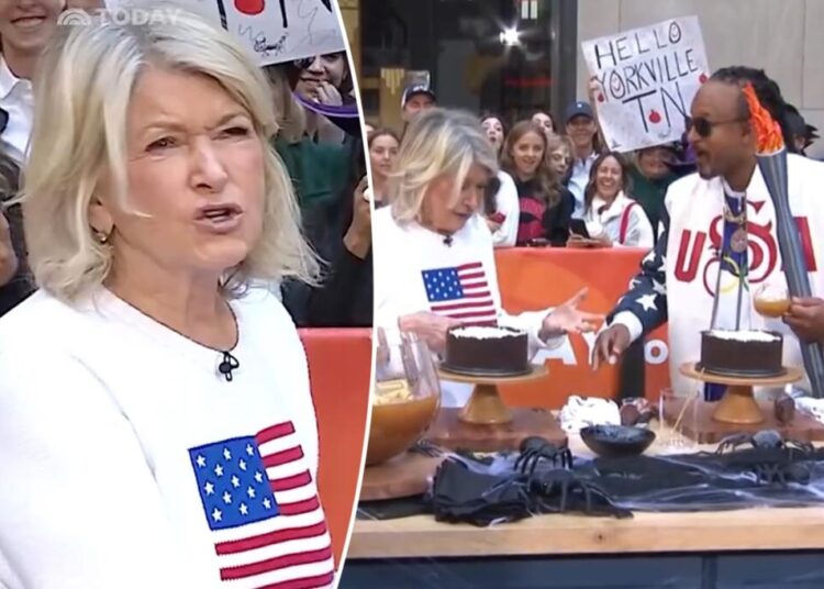 Moment Craig Melvin gets scolded by Martha Stewart during awkward ‘Today’ segment