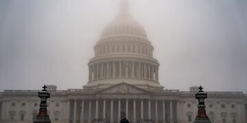 A Democratic Wave In the Midterms Could Change How Companies Talk About Climate