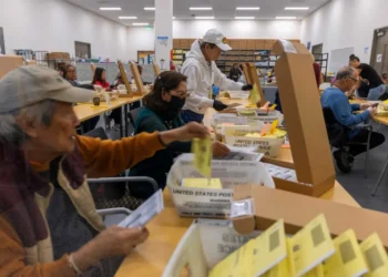 Trump-appointed judge casts deciding vote against DOJ’s ‘catastrophic’ ballot scheme