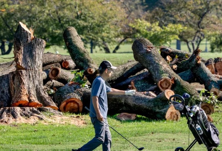 Trump posted that a public D.C. golf course would close for 15 months — his own officials can’t confirm it and a judge is opening a ‘formal inquiry’