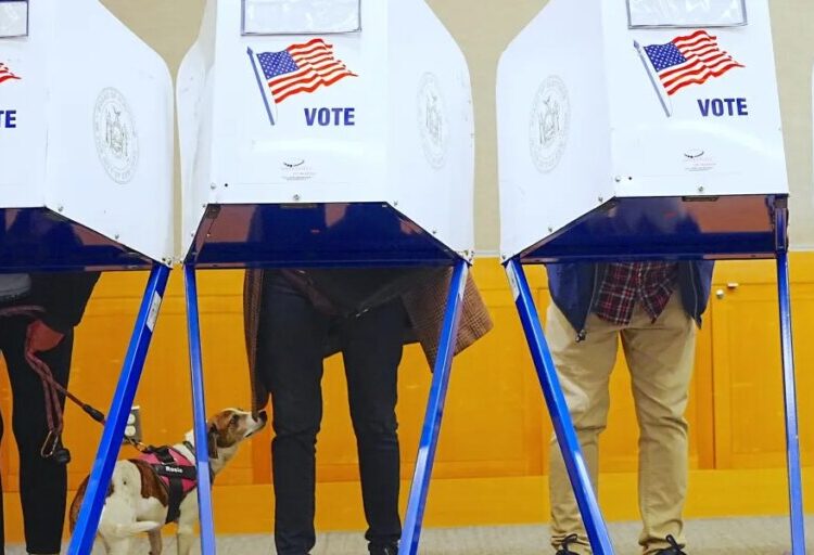 This top data scientist’s (non-AI) model finds Republicans have just one chance in six of holding Senate