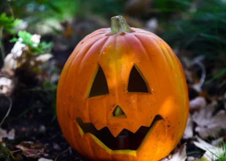 Why You Shouldn’t Toss Your Old Halloween Pumpkins In The Trash