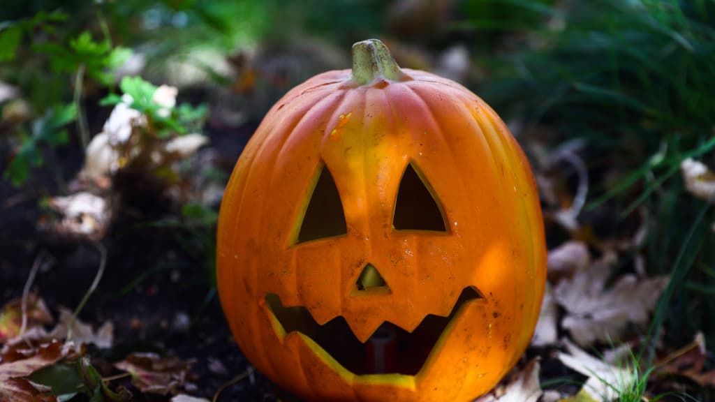 Why You Shouldn’t Toss Your Old Halloween Pumpkins In The Trash