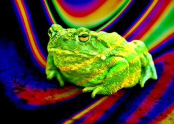 Psychedelic Compound in Toad Venom Can Treat Depression When Snorted, Scientists Find