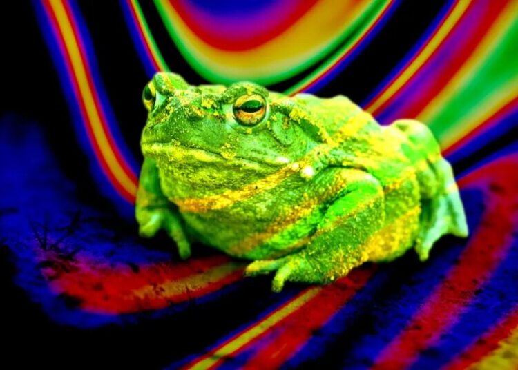 Psychedelic Compound in Toad Venom Can Treat Depression When Snorted, Scientists Find