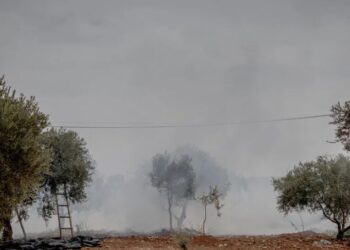 Israeli Settlers Attack Palestinians and Diplomats in West Bank