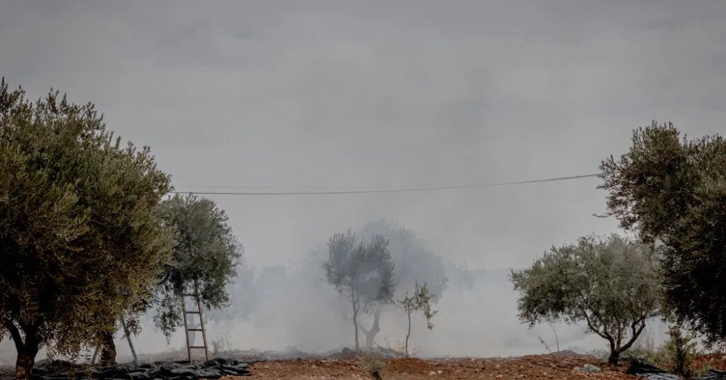 Israeli Settlers Attack Palestinians and Diplomats in West Bank