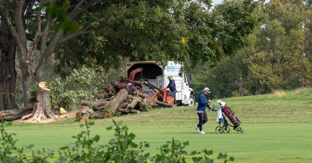 Trump Outlines Rapid Plan to Close and Overhaul D.C. Golf Course