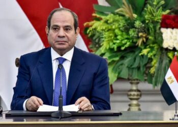 Egypt’s Defense Chiefs Pledge to Support Saudi Arabia After Houthi Attacks