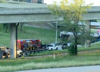 Semi-Truck Rollover Spills Dozens of Cattle Across Downtown Kansas City