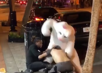 Is Fight Porn Destroying Us?