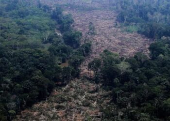 Planet Earth and Brazil’s Election
