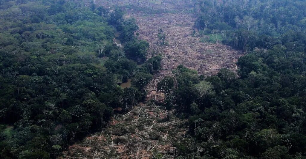 Planet Earth and Brazil’s Election