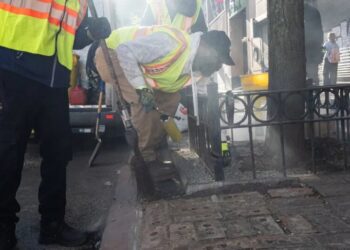 In Its Forever War on Rats, New York Enlists a Killing Machine