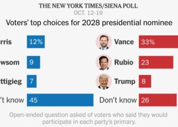 A New 2028 Poll Finds Vance, Rubio and a Mishmash of Democrats in the Mix
