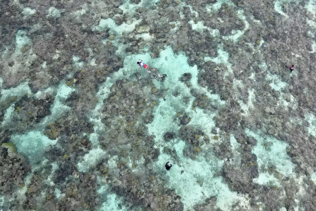Aerial view of villagers swimming above shallow-water coral reefs off Nadir Beach.
