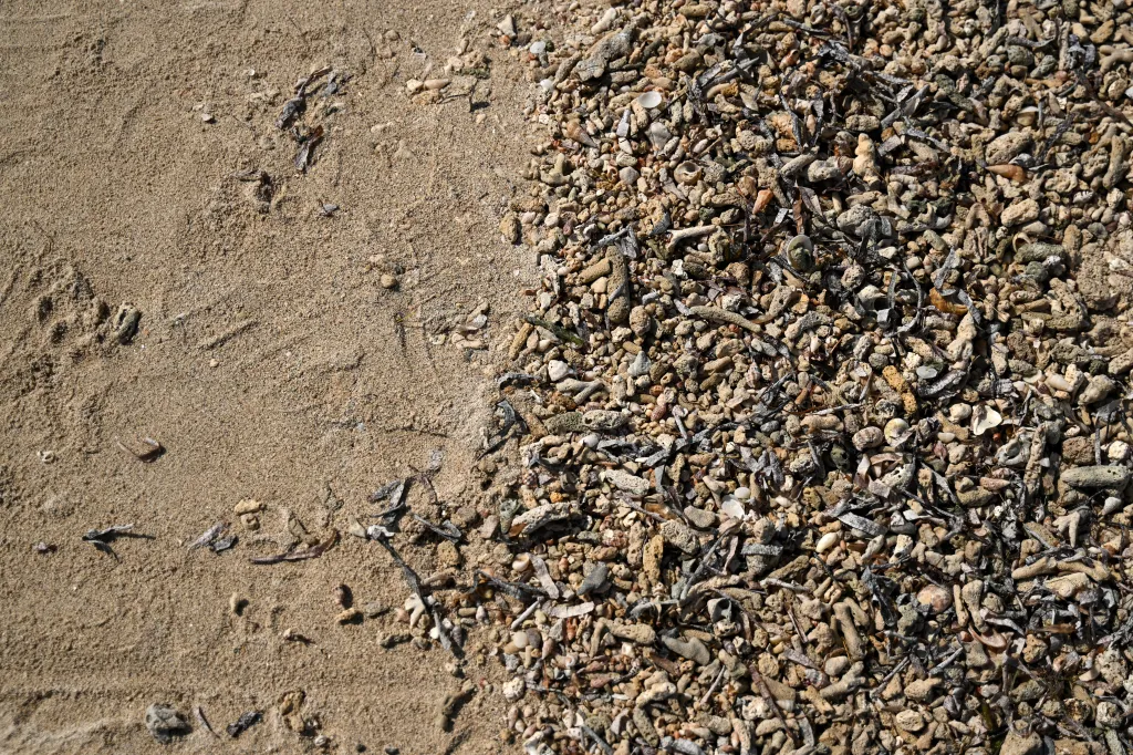 Dead corals scattered along a beach at Kariyachalli Island, India.