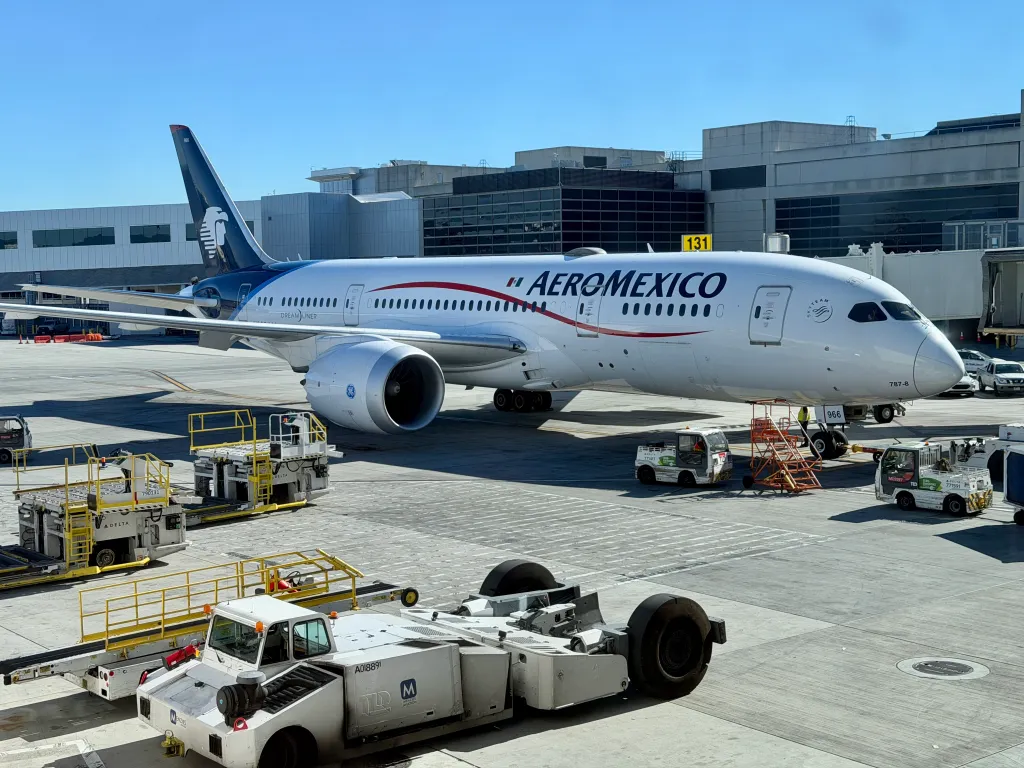 Aeromexico officials suggested Rodriguez purchase a more expensive Business class ticket despite no guarantees Logan will be allowed on the flight.