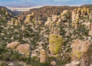America Mints a New National Park, Elevating an Arizonan ‘Sky Island’