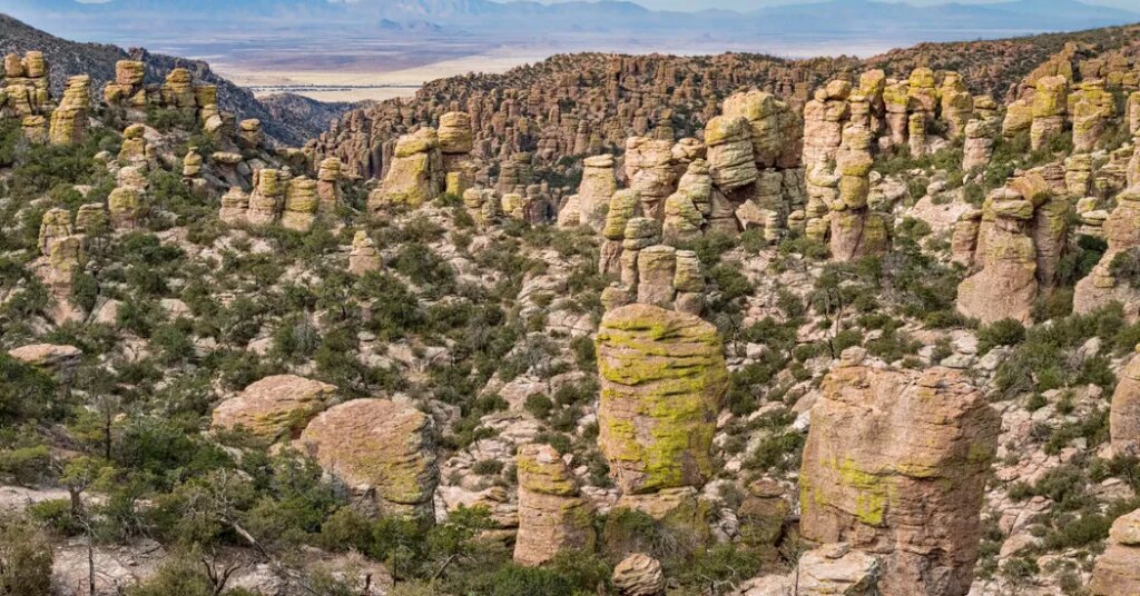 America Mints a New National Park, Elevating an Arizonan ‘Sky Island’