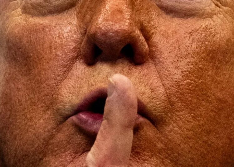 In Trump’s World of International Diplomacy, Insults Are a One-Way Street