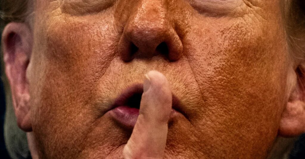 In Trump’s World of International Diplomacy, Insults Are a One-Way Street
