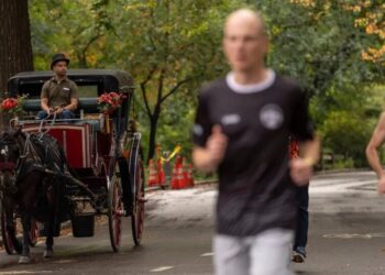 A Vote Tomorrow Could Ban Horse Carriages in Central Park