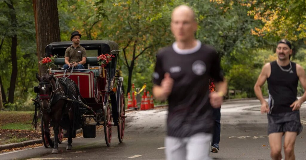A Vote Tomorrow Could Ban Horse Carriages in Central Park