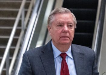Video by Left-Wing Group Claims Lindsey Graham Paid Men for Sex