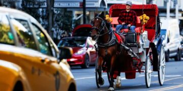 With Horse Carriage Ban Set to Pass, Workers’ Future Remains Murky