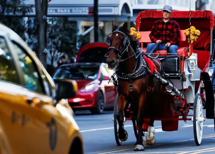 With Horse Carriage Ban Set to Pass, Workers’ Future Remains Murky