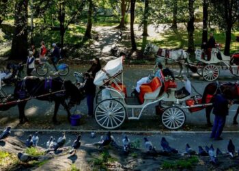 Should Horse-Drawn Carriages Be Banned in New York City?