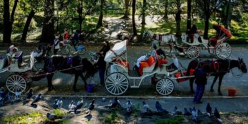 Should Horse-Drawn Carriages Be Banned in New York City?