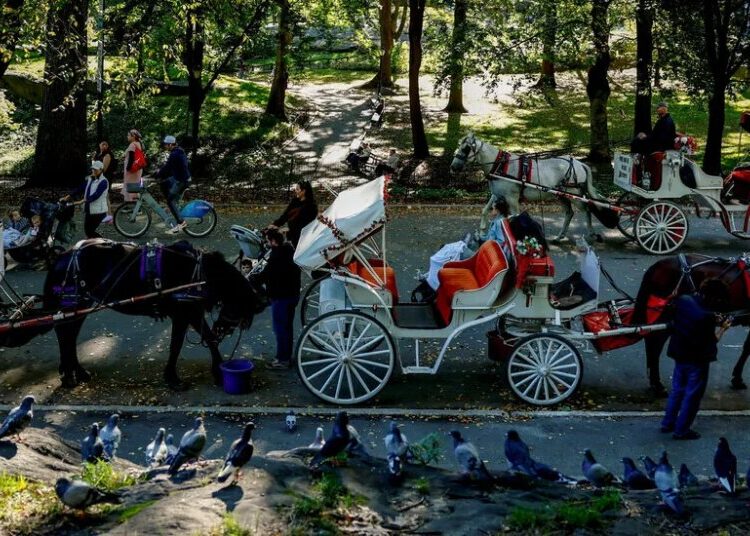 Should Horse-Drawn Carriages Be Banned in New York City?