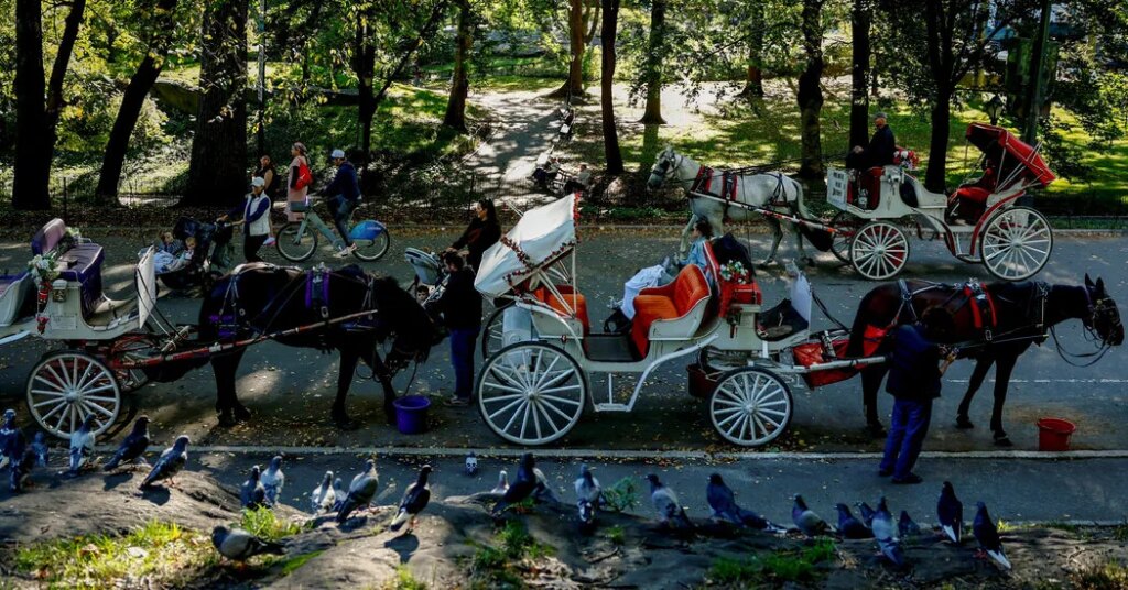 Should Horse-Drawn Carriages Be Banned in New York City?