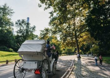 Drivers Are Livid and Activists Exult After Vote to Ban Horse Carriages